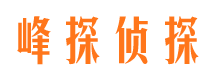 呼玛市调查公司